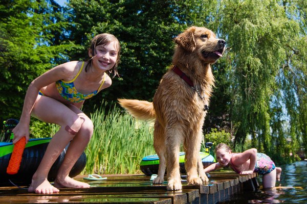 Ausflugsziele mit Hund am Bodensee Hund und Herrchen sind willkommen